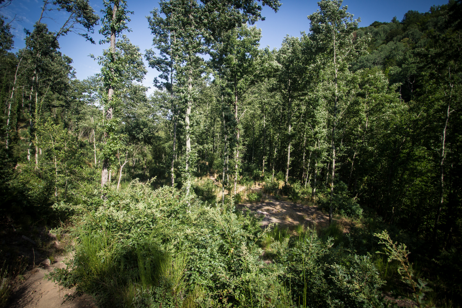 In questo punto siete molto vicini: il bosco è a ridosso del fiume e delle cascate.