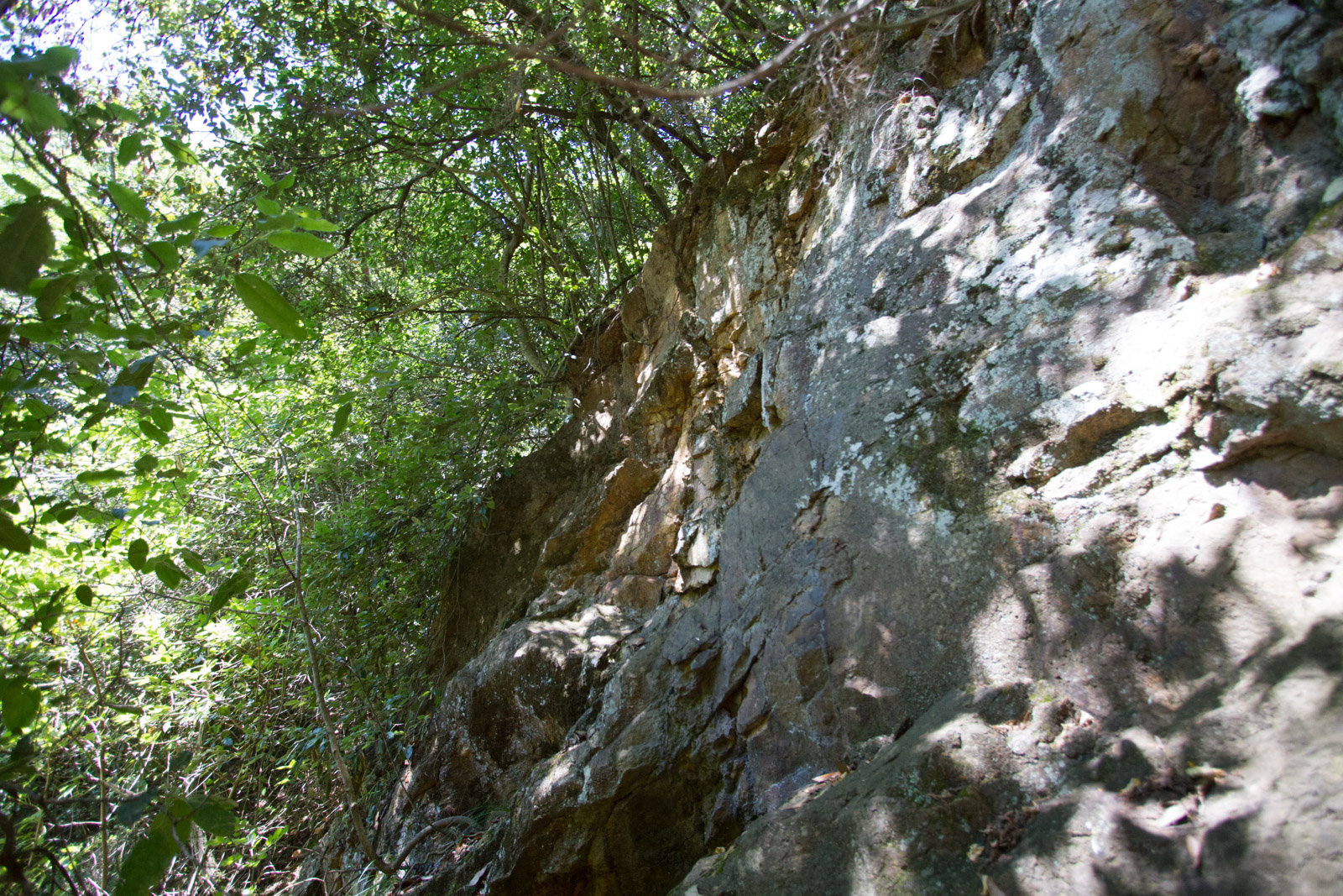 Arrampicata per principianti: in alcuni punti la roccia calcarea crea dei percorsi piuttosto facili, adatti anche a chi sta imparando.