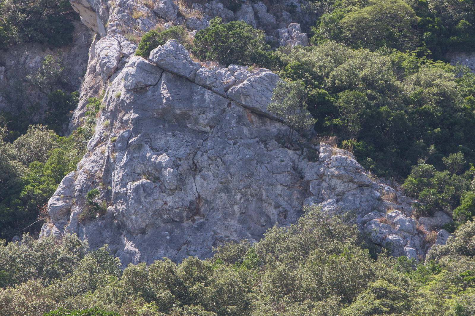 L'arrampicata qui è su placche verticali a cui si aggiunge qualche strapiombo.