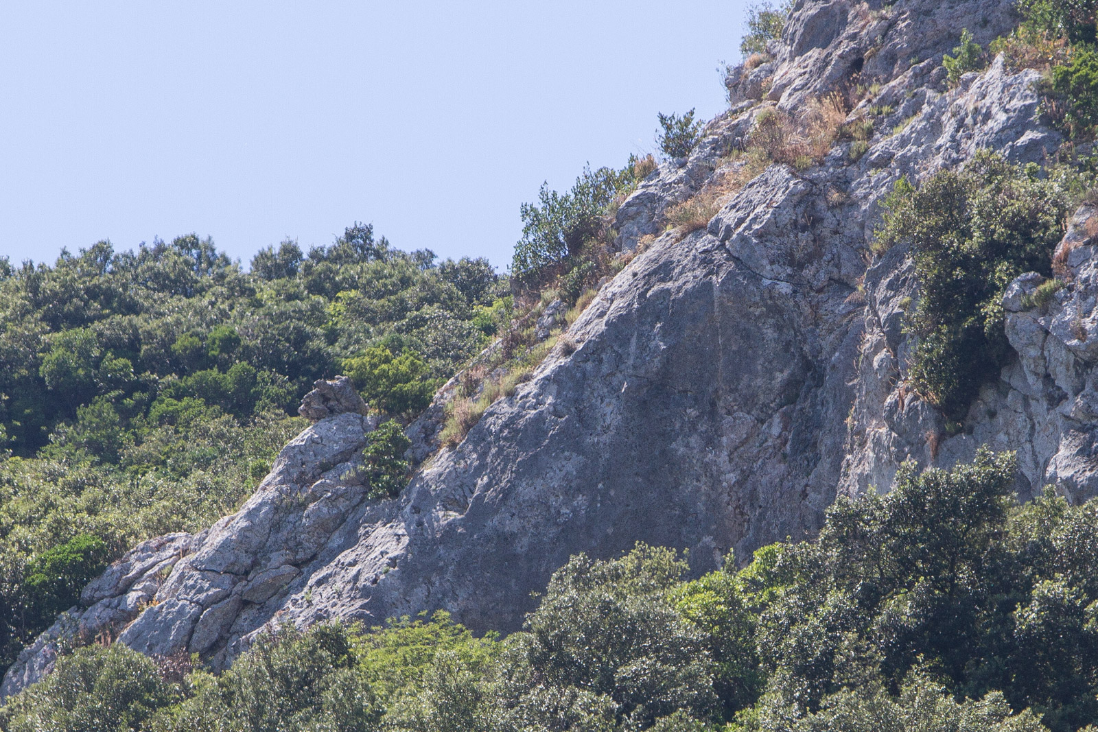 Da vicino possiamo vedere che la roccia è caratterizzata da superfici lisce e piccole prese. Ottime arrampicate per coloro che ricercano adrenalina ad ogni costo.