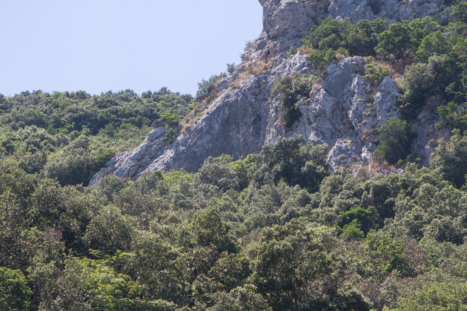 Il muro più lontano dalla base con alcuni punti di ancoraggio fissi per funi di sicurezza, offre alcune salite abbastanza interessanti, con un facile accesso al punto di recupero della corda.